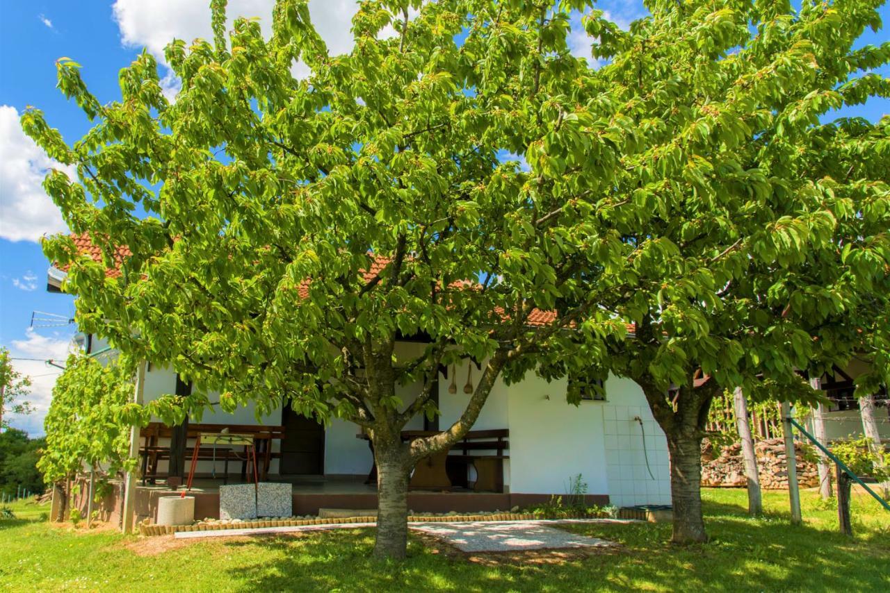 Villa Zidanica Balantič Dobrovnik Exterior foto